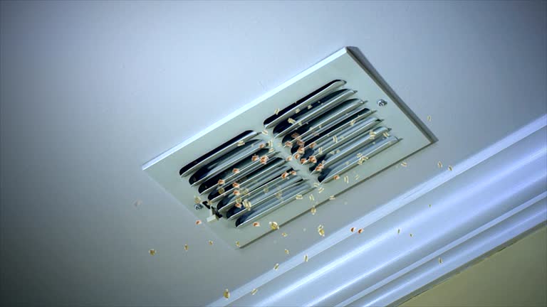 Best Air Duct Cleaning Near Me in MI